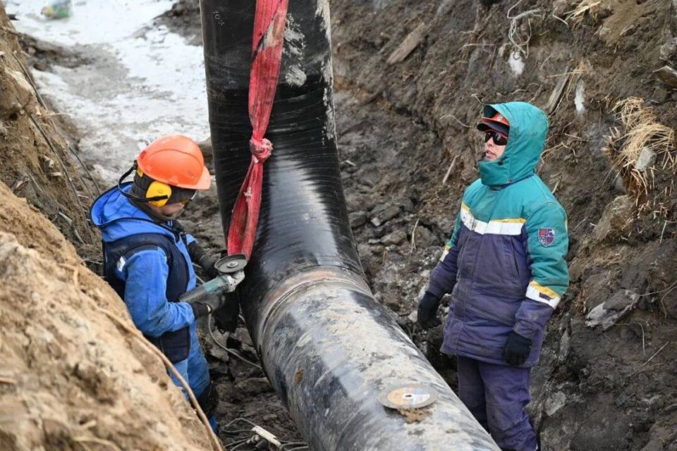 5 ��� � �������� ����������