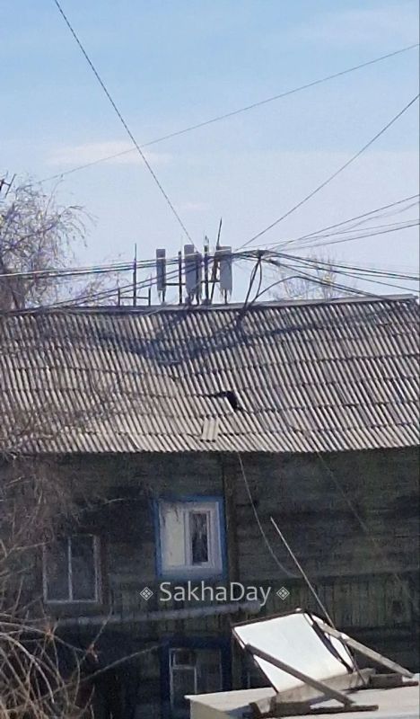 #����� ������ ����! � ��� ����� ���������� � ����� ����� ����� � �������