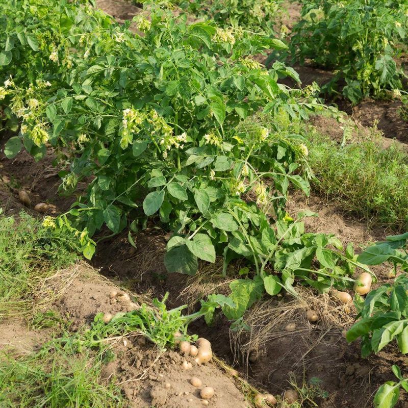 ������� �������� ���������: ��� �������� ������ �� �����