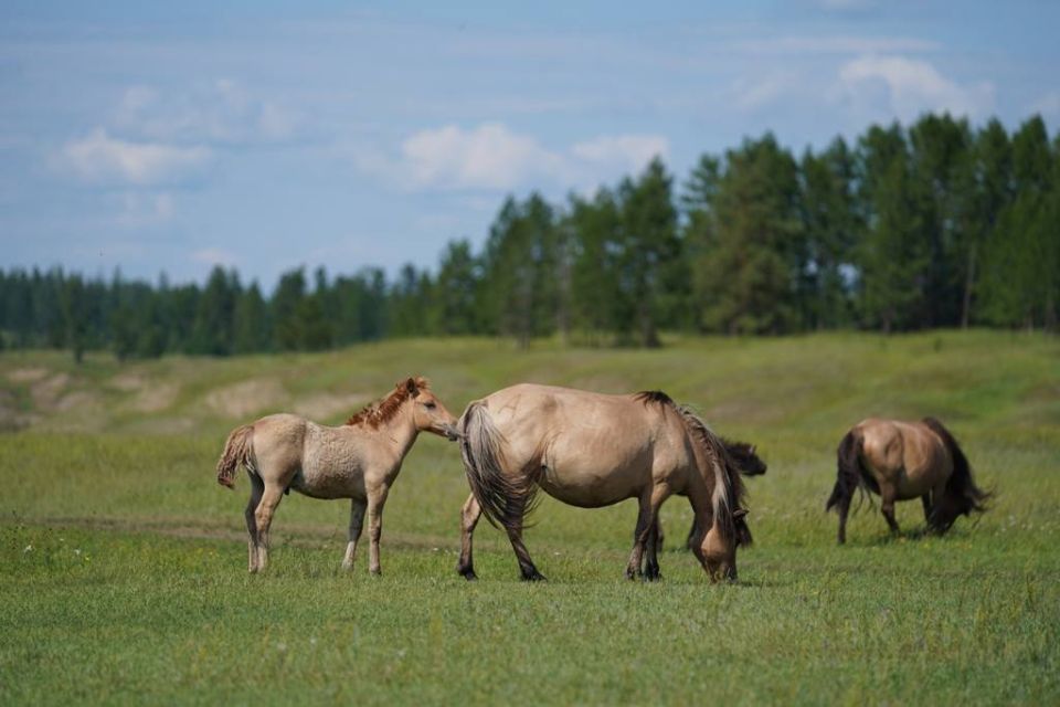 ������� �� ��� 2026 ���� �� ����: ��� ����� � ������ ������