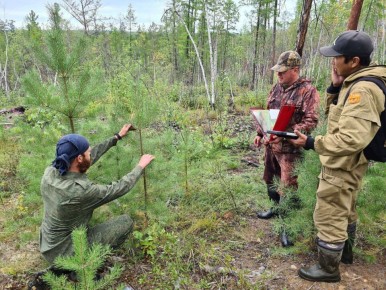 ������ � ���� ����������� �����: ������� �������� ������ ������� ������� �� ������ ������� � ������