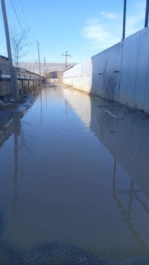 #�����. ������������ ����� �� ���� ����� �������� ������� ��������� 11/4� � 11/4� ��� ��������