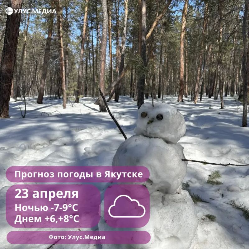 ������ ���� � +9 ��������: ������� ������ � ������ �� 23 ������