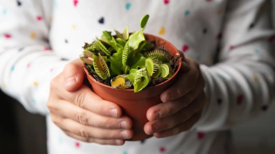 ��� ���������� �������� ��������� ��������� ������� ����� �������