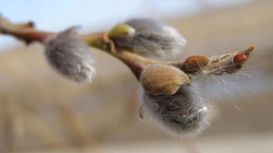 ������� ������ � ������� �� 22 ������