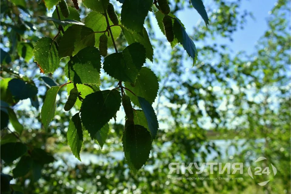 �� ������� ������ ������� � ������ � 2026 ���� �������� ����� ���� ���� ������