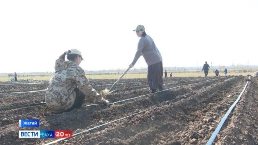 � ������ ��������� �������� �� ����������� � �������-������� �������