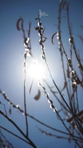 � �������� ����� � ������� �� ������ ����� ������� ������ �����