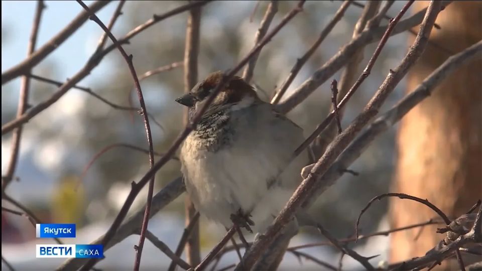 ������� ������ � ������� �� 23 ������