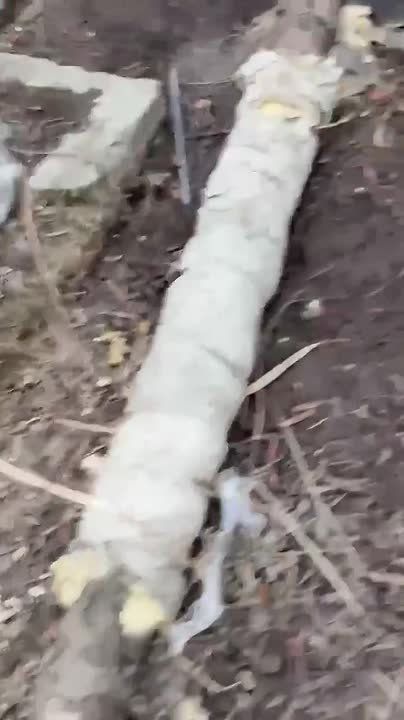 ���������� ����� �� ������������ ��������������� �����