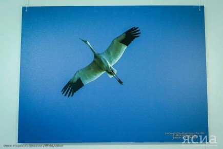 � ������ ������ ������� � ������� ����