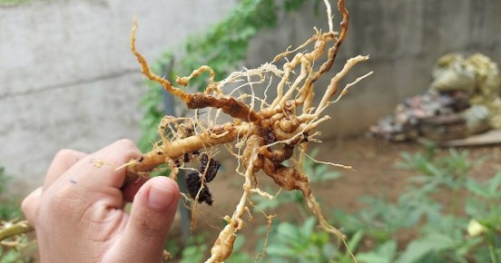 �������� �� �������: ��� �������� ������ �� ��������� ������