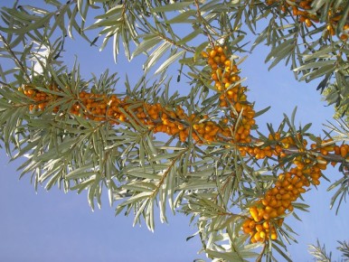 ��������: ������� ����� � �� ������ ��� ��������