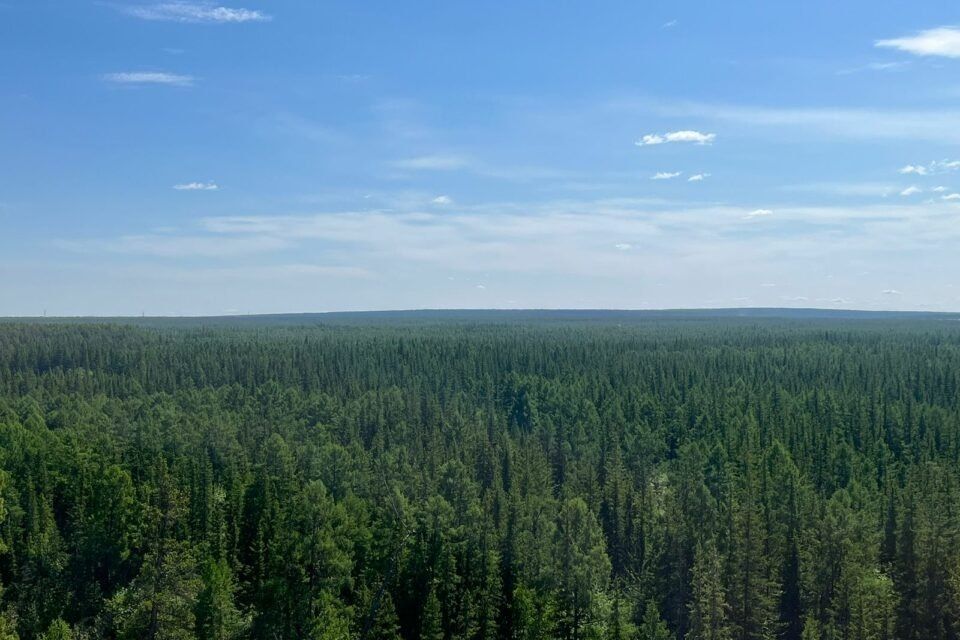 ������������� ����� � ������ ��������� ���������� � �������� ���