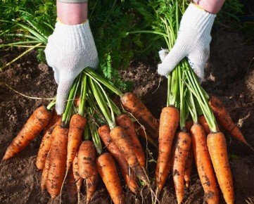 ��� ��������� �������� � �������: ������� ��� �������� ������