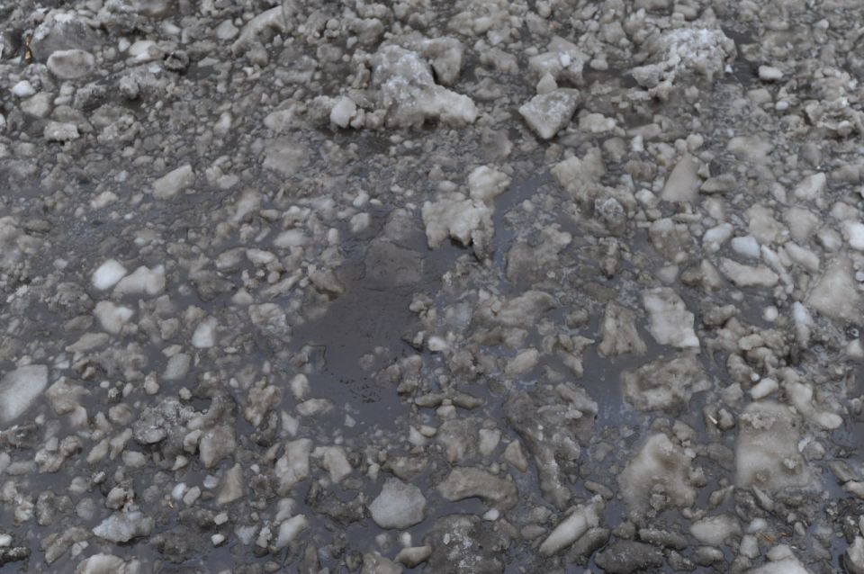 ������ ����������� � ������ �������� �� ��������