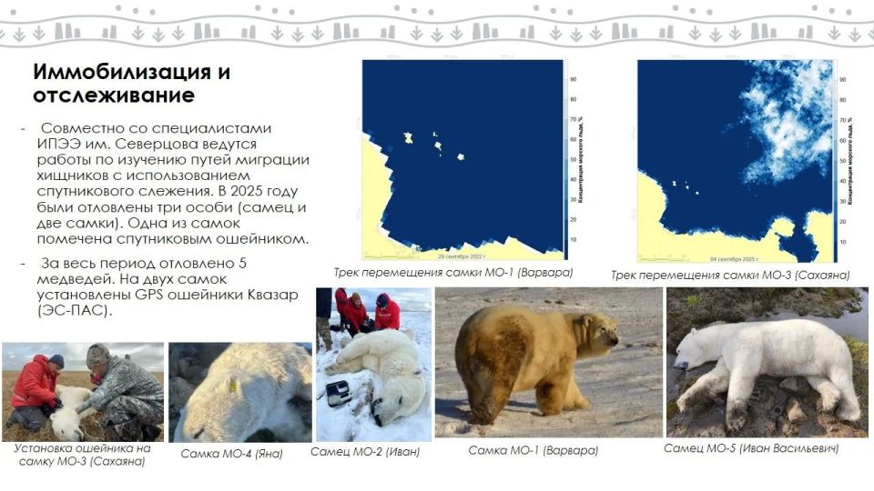 �������� ������� � ��� ���� �� ����� ������� ������������ ��