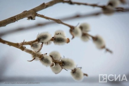 ������ �� �������: � ������� �� +8, �� ��� ���������� � ������ ����