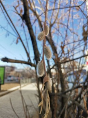 ��������:. � ������� ������ ������ �����! ��������?