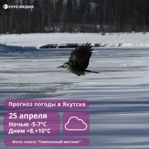 ������ ���� �� ��� � ����� �� +11�: ������� ������ � ������ �� 25 ������