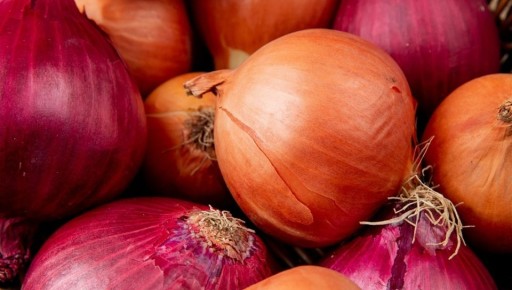 ��� ��������� ������� � ������� ���: ������ �� ���������