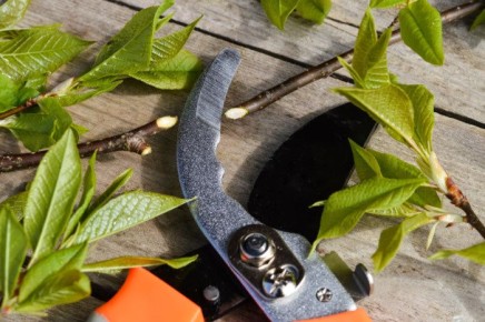 ������ ������������ ���������: ��� ���������� ������� ���� �� ���� �����