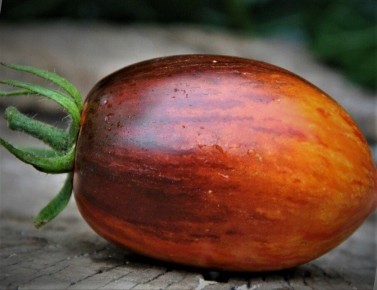 ������ 2025: ������ ����� ��� ������ � ��������� ������