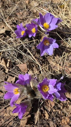 � ���� ���� ��������� ����� ��������������, �� ��� ������� ��������� ������ ����������� ������� �������� ���������� - ���������� � �������� ������ ������ ������������