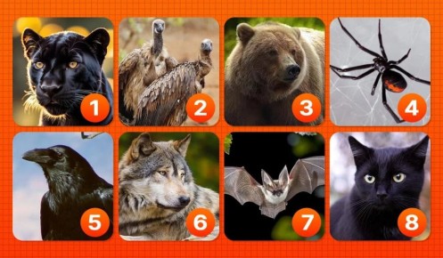 ��� ���� ������� �������� �������� ������ ������� ����� ��������?