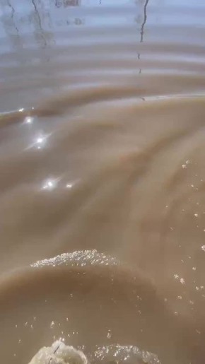 ����� � ��� �����. #������������