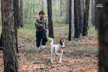 ������ ������ �����: ����� ������ � � ������� ������������ ������