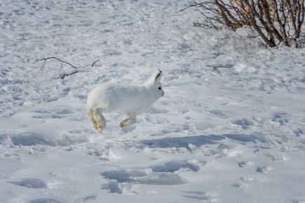 �� ������ � ��� ������ ��������� ������ ���� � ������ 28 ������