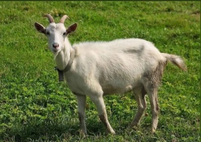 ������ ��� �� ��������� ���: ������ � ������ ����� ��� ��������