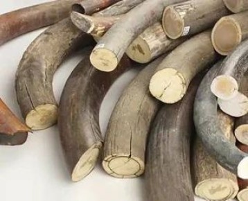 �������� ������������ ������������ ���������� ������������� ���������� �� ���������� ���� � ��������� ������������� �����