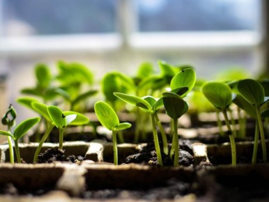 ��� ����� ����� ������ �������: ������� ������� ��� ������� ������