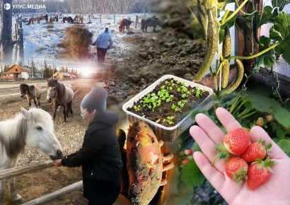 ���� ����������� ������������ ���� �-����� ����?