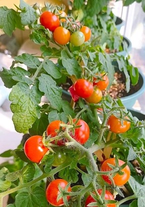 ��� ������� �������� ������ ������ ���������: ������� ���������� ���������