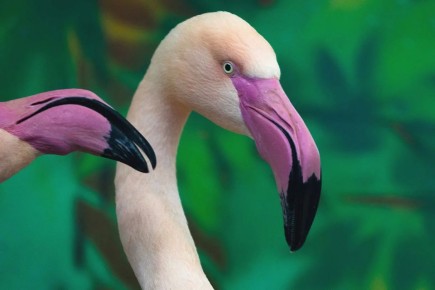 �������� � ��������� ������������� �������� ������� ����� �����