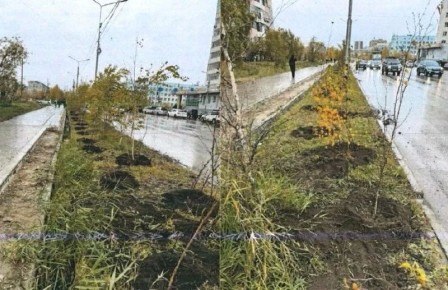 � ������� �� ���� ���������� ���������� ������ �������� ������ ����� �������� 50 ��������