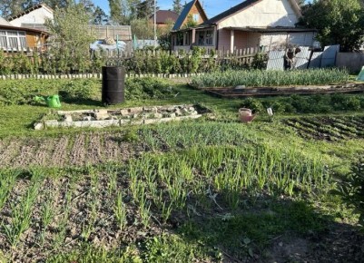 ��� ������� ��������� ������� ������: ������� ���� � ������������