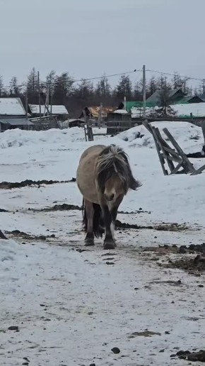 #���_����. � ���� ��������� ��������� ������ ����������! ������ �� ���������, ����� ���������� ���� ����, ������ �� ������� ��� ������ ��������������� ��������