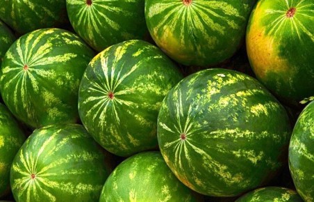 ������� ������ ������: ��������� ��� � ������������� �������