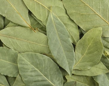 �������� ����: ������� �������� �������� � �������� ��������