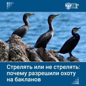 � ������ ���������� ��������� ��������� �� �������� ������� � ������� ������� �����, ���������� �����