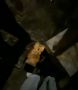 � ����� ������� ������� �������� ��������, ��������� ���� ������