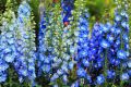 ��� ������� ������������ ����� ���������� ������ �������� � �������� ��������