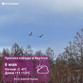 � ���� ������� ������ 6 ��� ������������ ������ ����� �� 20 �/�