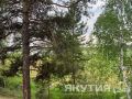 � ������ ���������� ��������: �������� ���� ���������, ����������� ���� ������ � �������