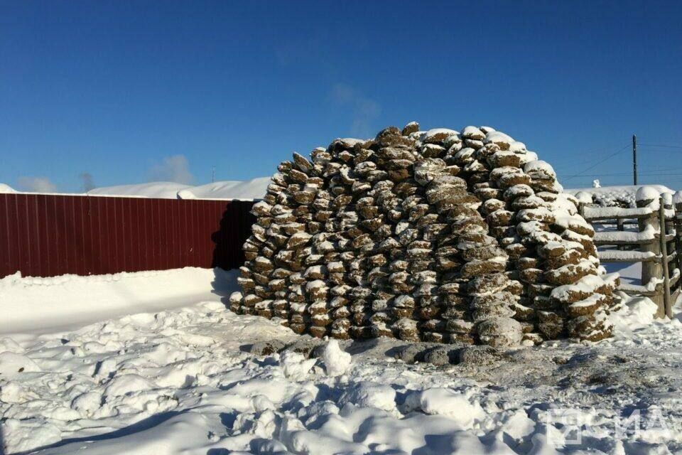 Балбаах уоурдуу эбэтэр тобох буолара слээх хааайынтан тутулуктаах
