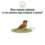 �������� ����������� ������ �� �����? �� ������� ��������